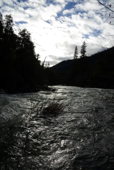 DSC_0908 (Large).JPG